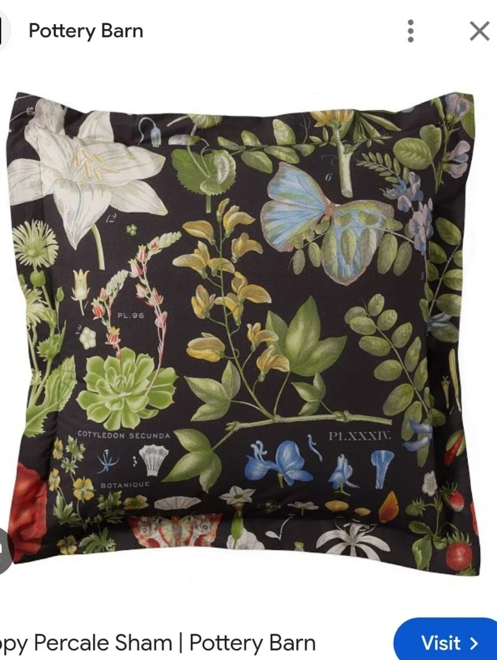 Pottery Barn Poppy Series European Pillow Sham Vintage Botanical Floral Latin